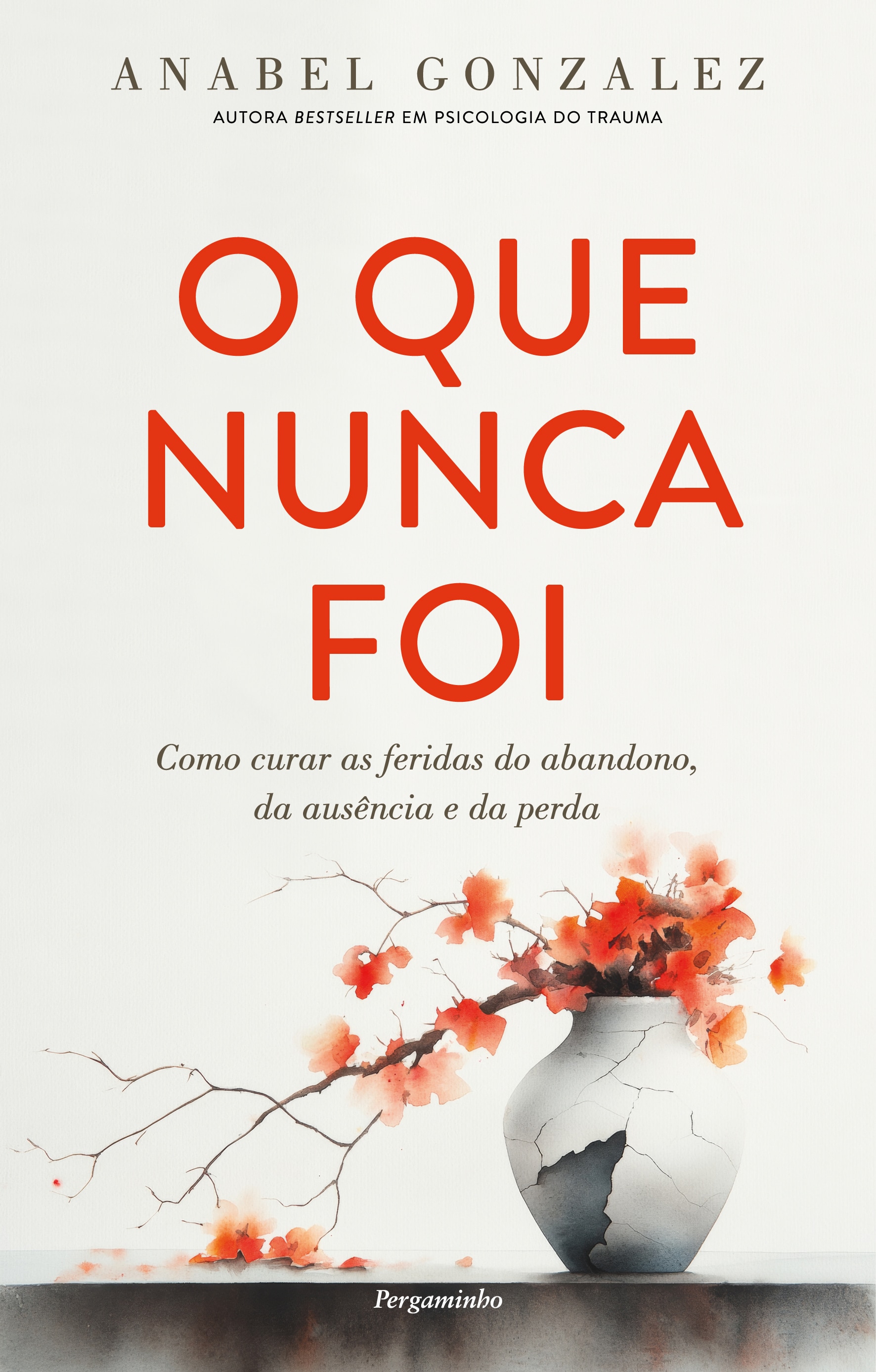 O que Nunca Foi - Como Curar as Feridas do Abandono, da Ausência e da Perda 1