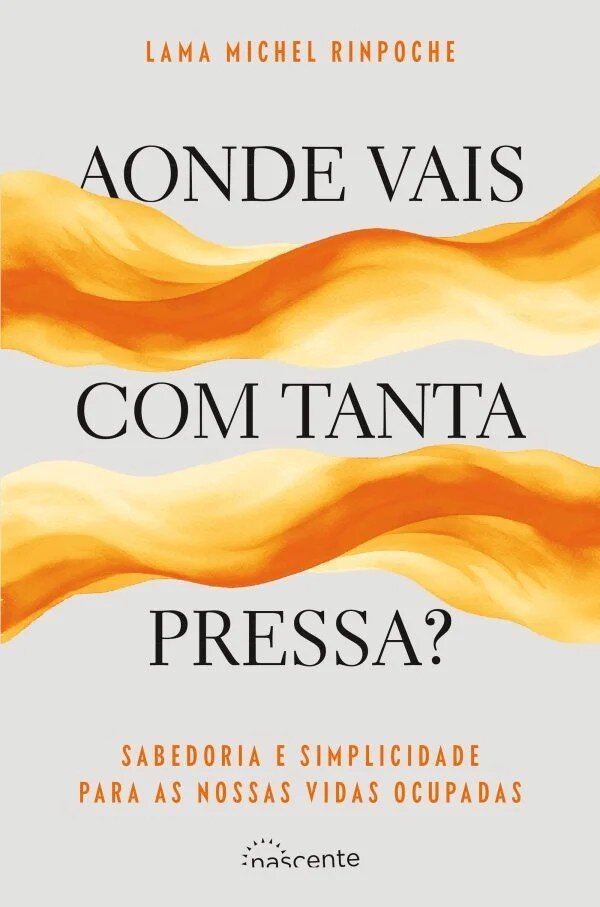 Imagem 0 de Aonde Vais com Tanta Pressa? - Sabedoria e simplicidade para as nossas vidas ocupadas
