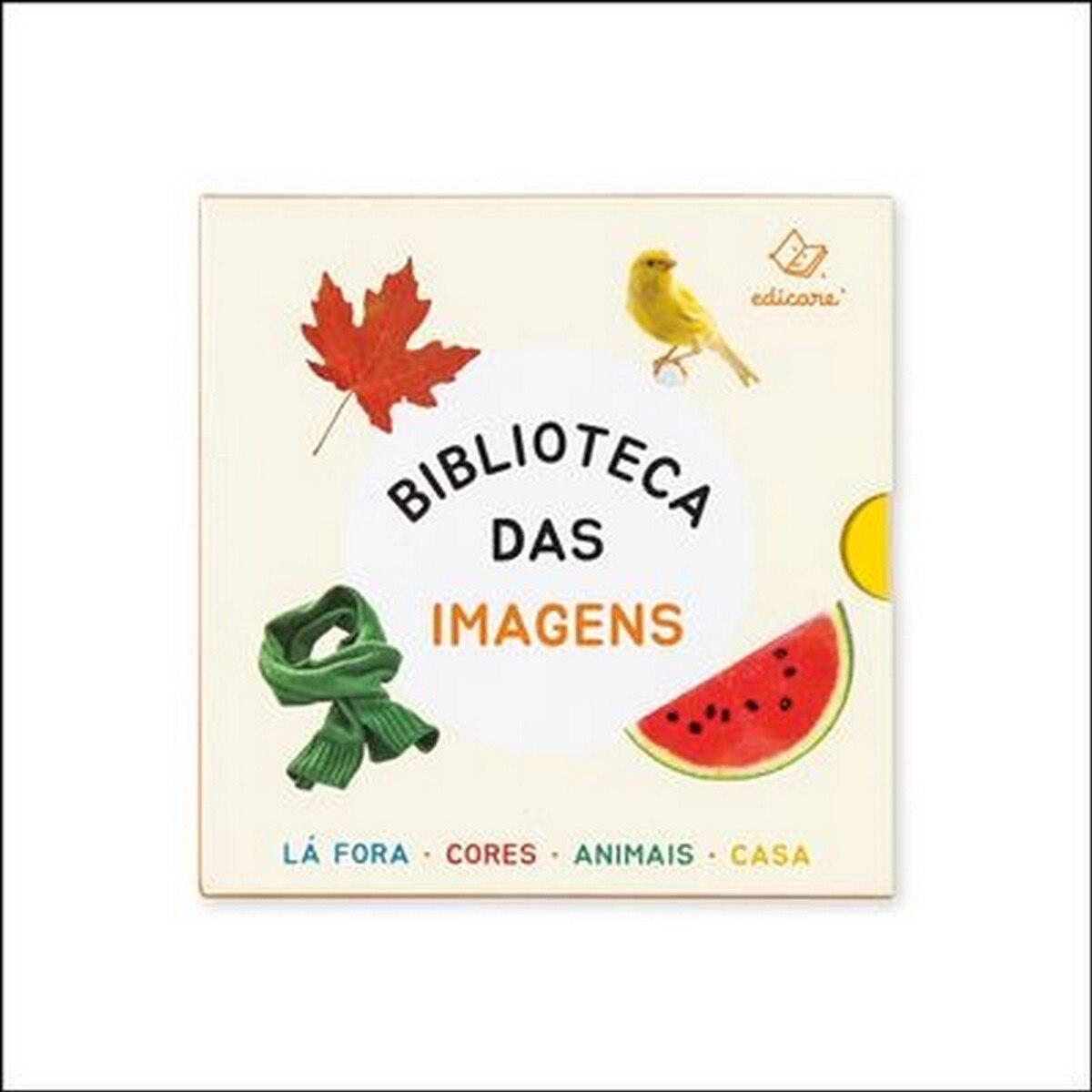 Biblioteca das Imagens 1