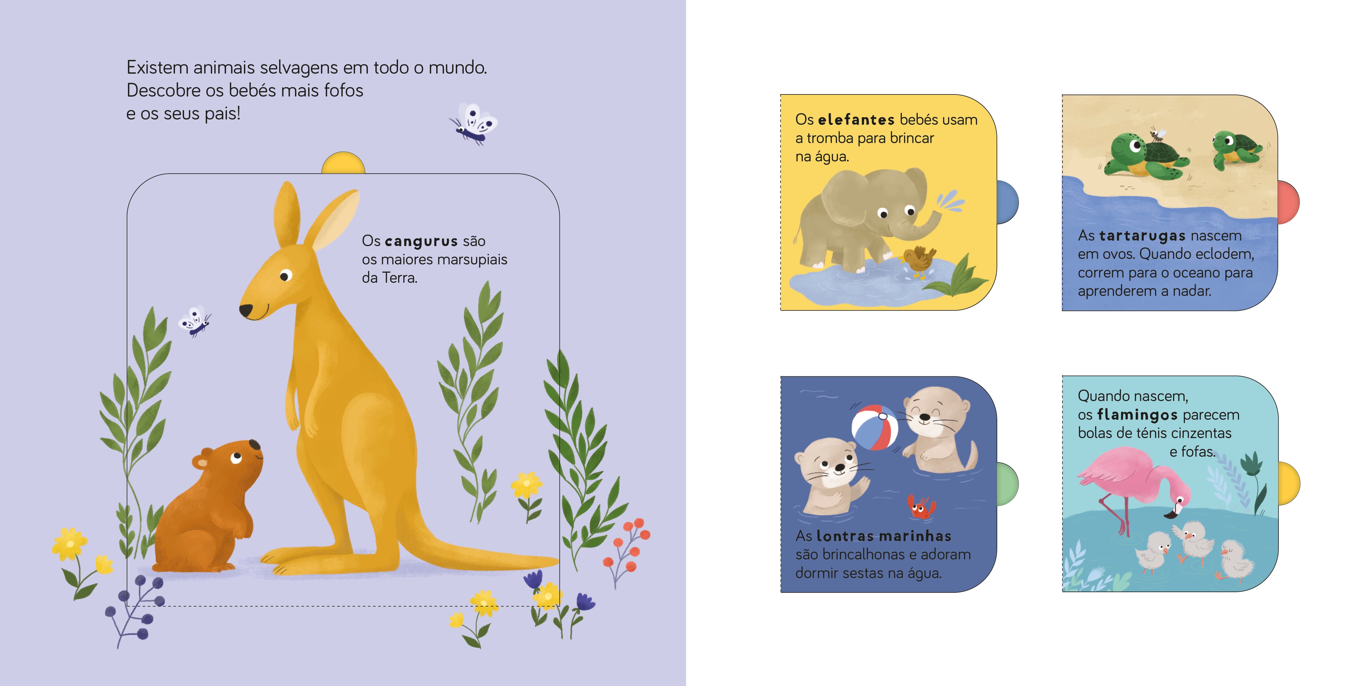 Animais Selvagens 2
