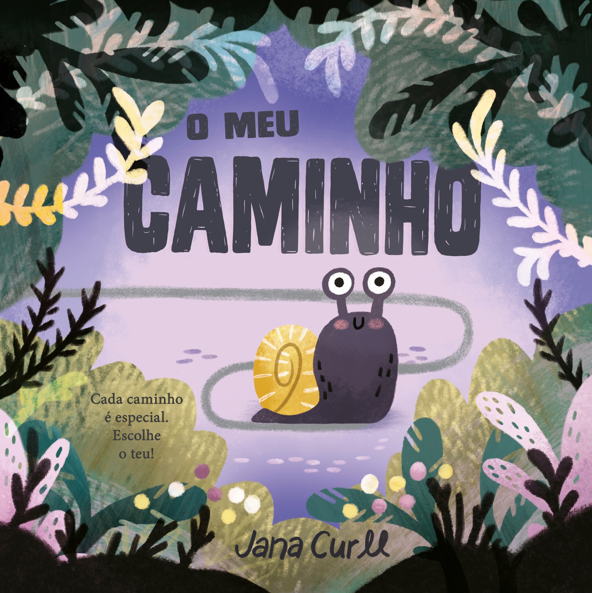 O Meu Caminho 1