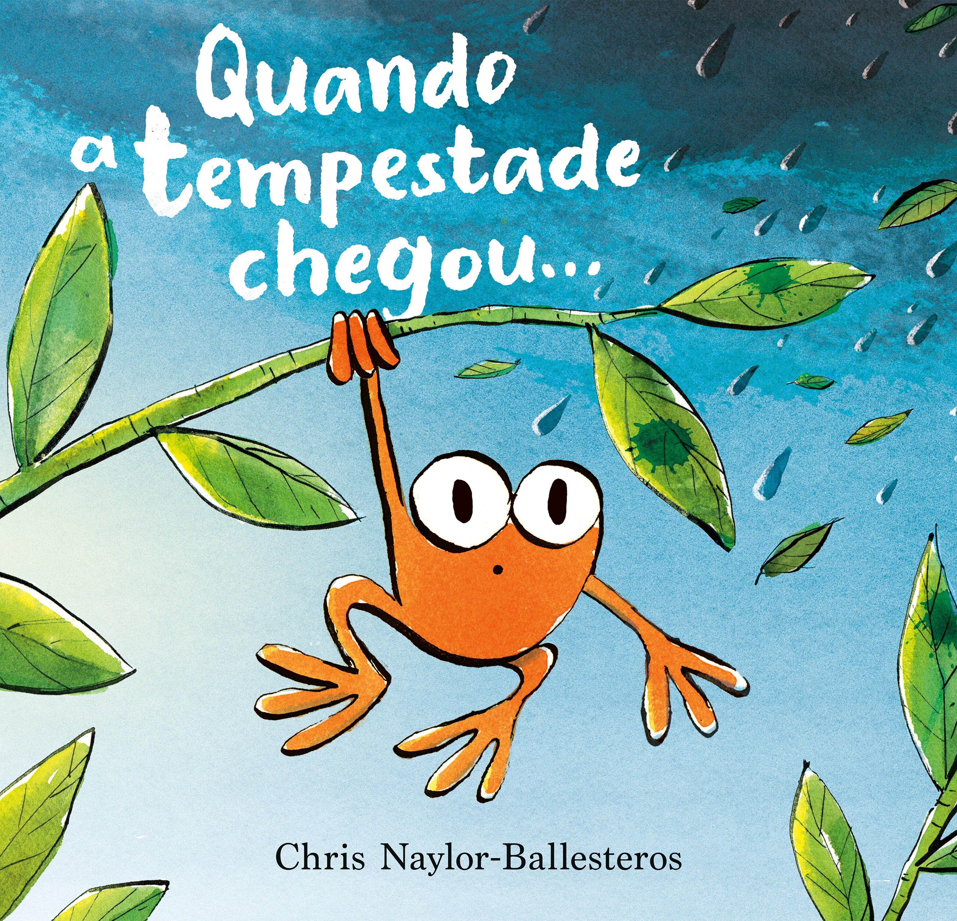 Imagem 0 de Quando a Tempestade Chegou…