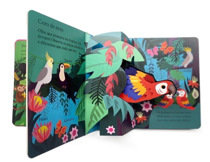 Espreita e descobre 2