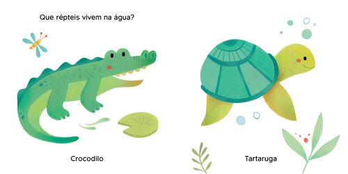 Tocar & Cheirar Verde 2