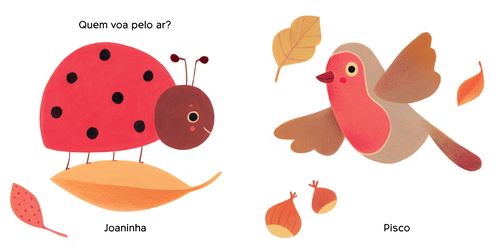 Tocar & Cheirar Vermelho 2