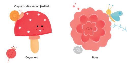 Tocar & Cheirar Vermelho 3