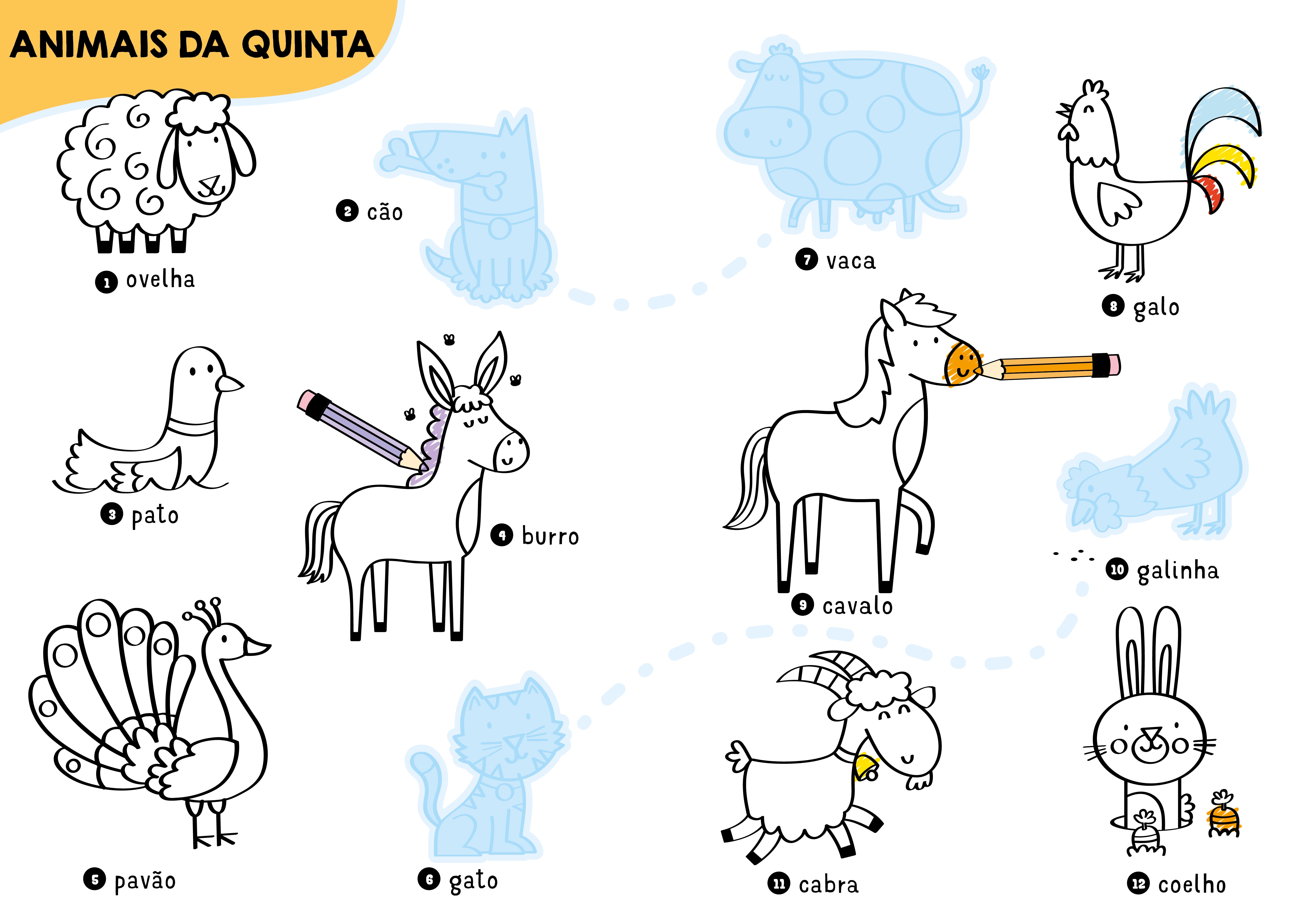 Quinta 2
