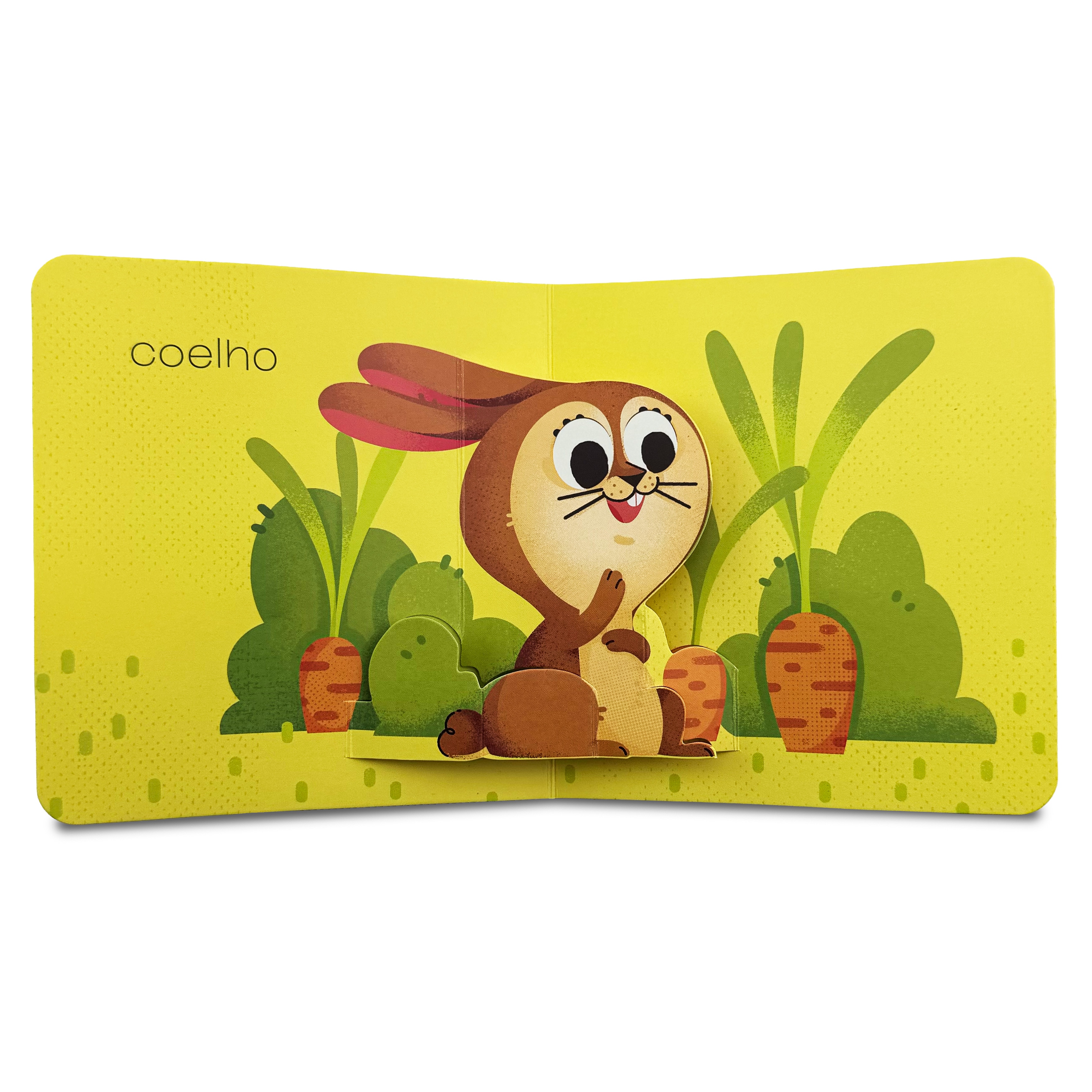 Primeiras Palavras Pop-Up - Animais 2
