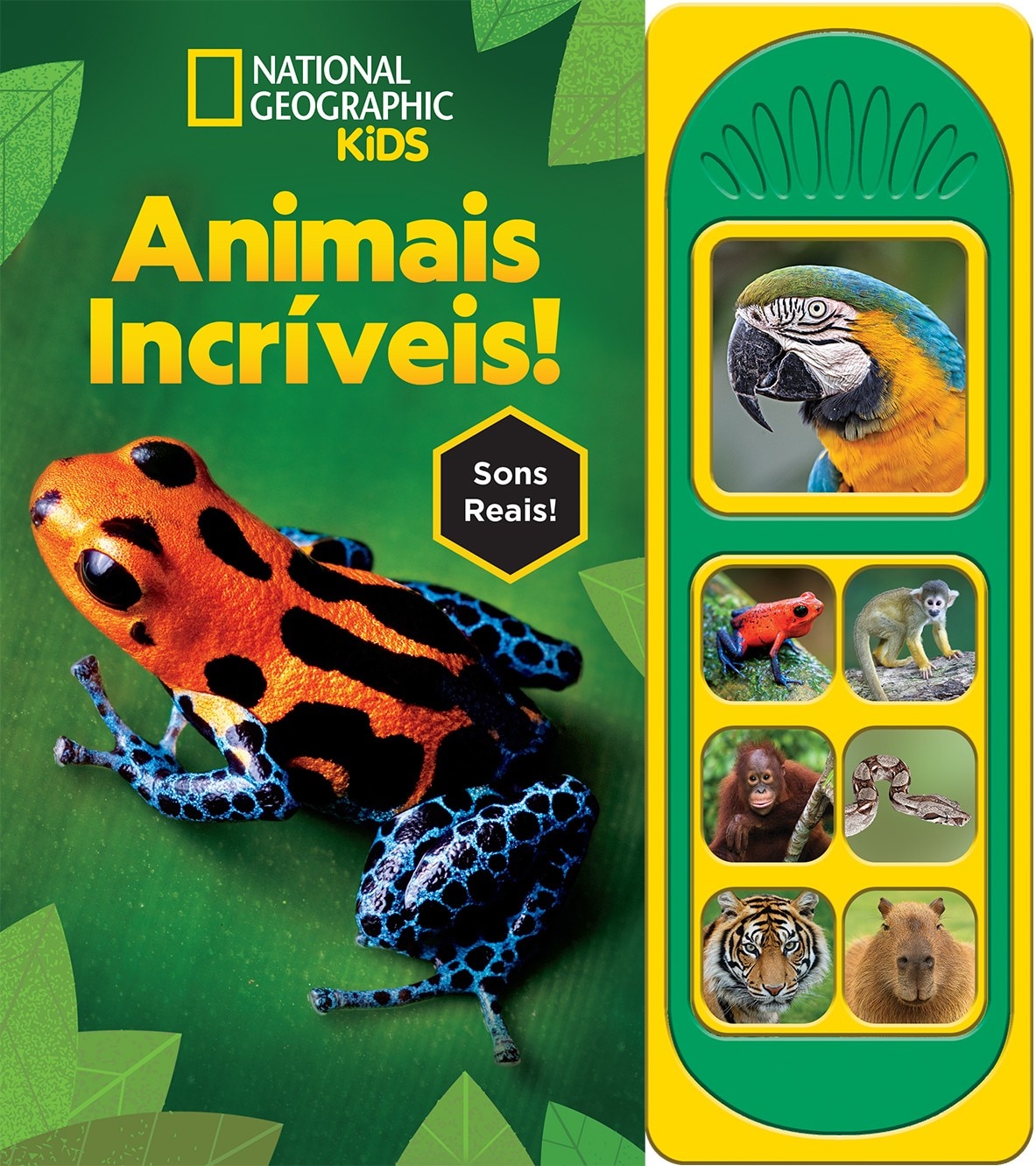 Imagem 0 de Animais Incríveis!