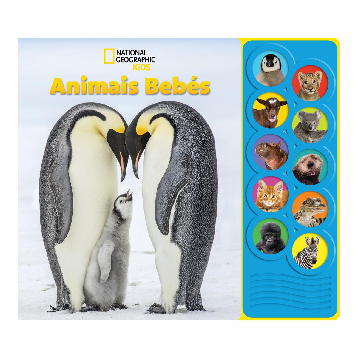 Imagem 0 de Animais Bebés