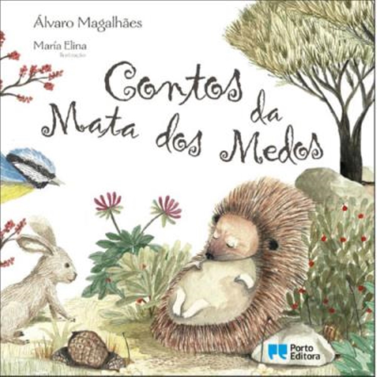 Contos da Mata dos Medos 1