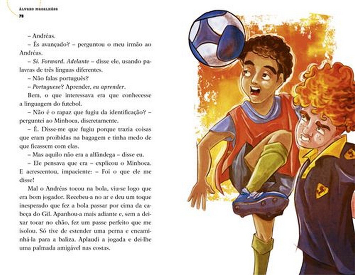 Os Indomáveis F. C. - O craque que veio de longe
Livro 13 2