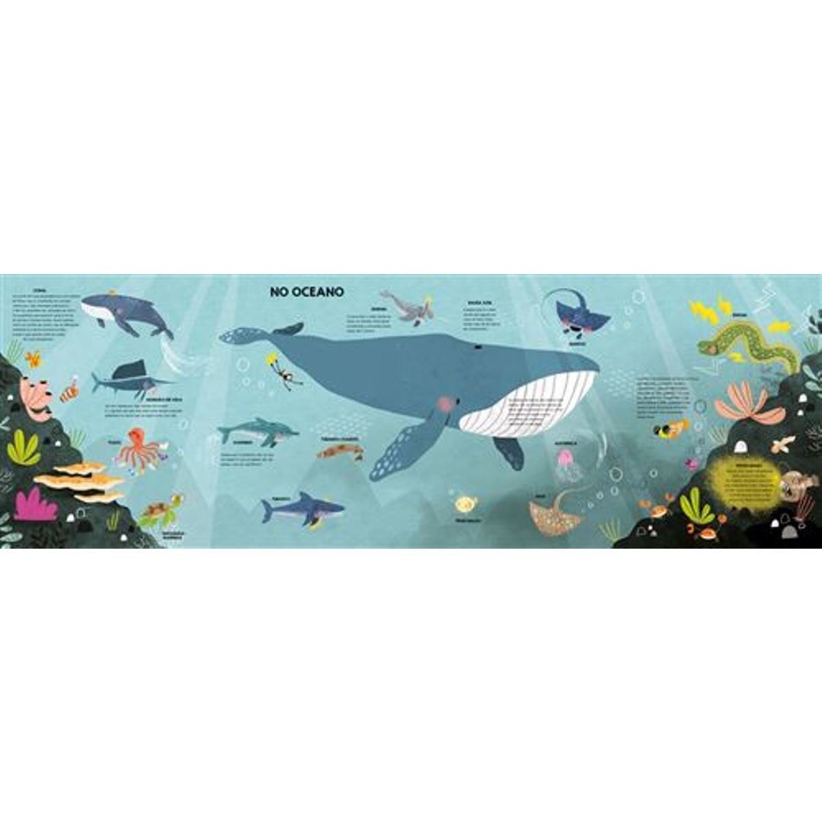 Animais - A minha viagem de descoberta 2