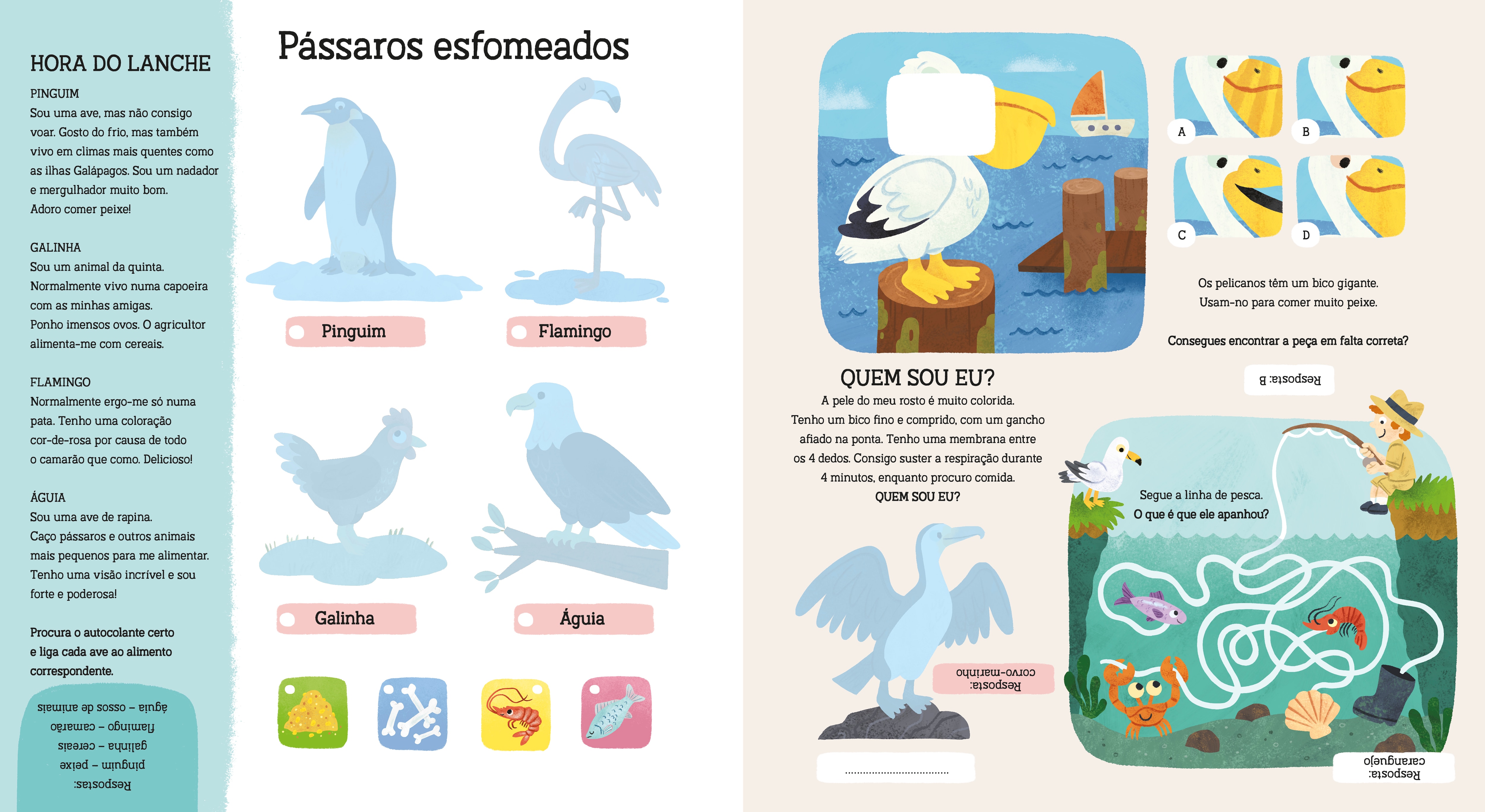 Animais 3