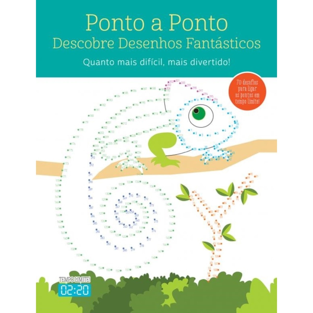 Ponto a Ponto 1