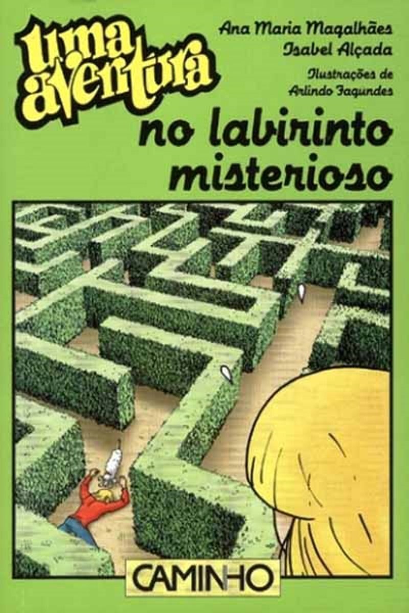 Uma Aventura no Labirinto Misterioso 1
