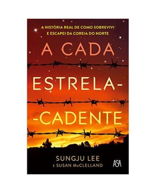 A Cada Estrela Cadente 1