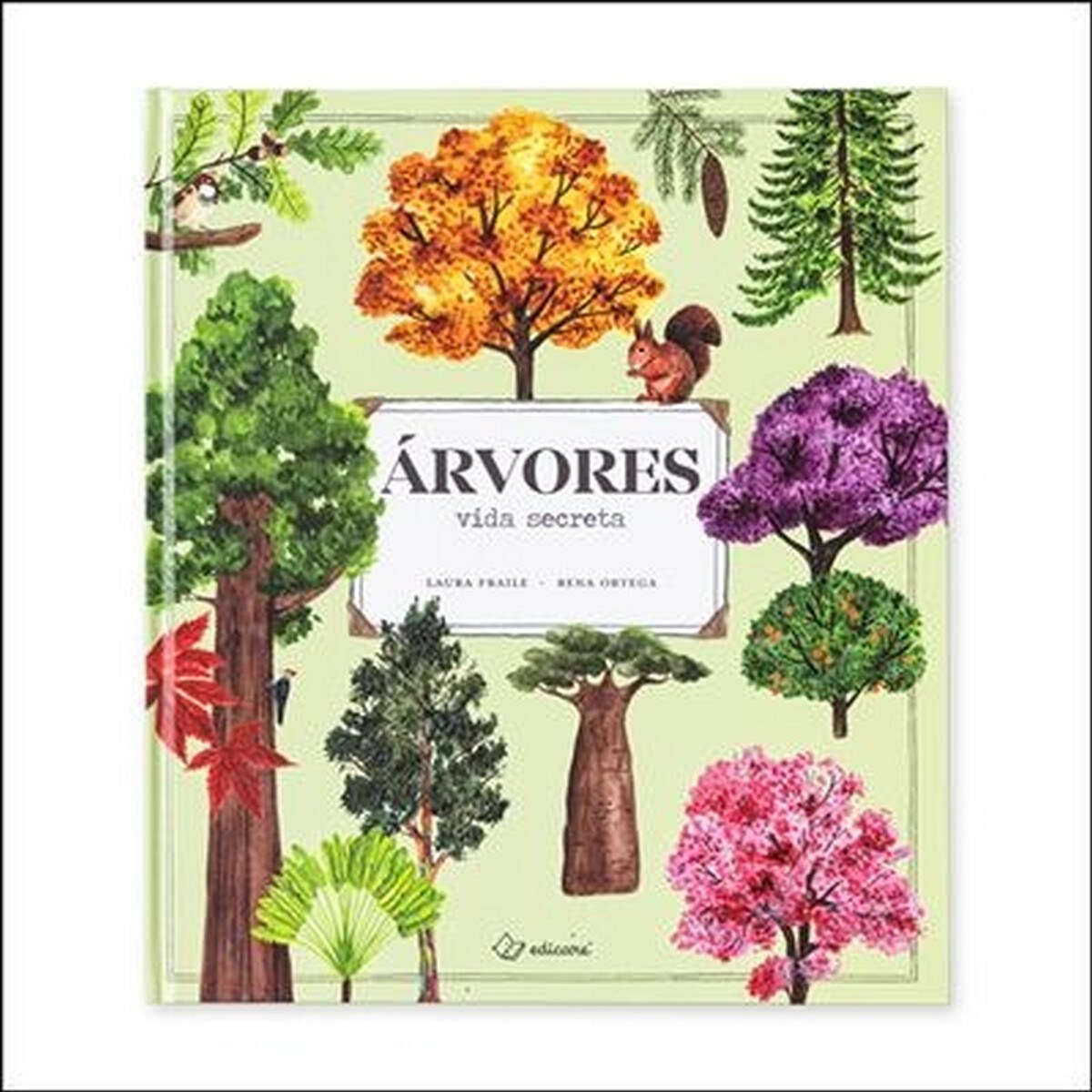 Árvores - Vida Secreta 1