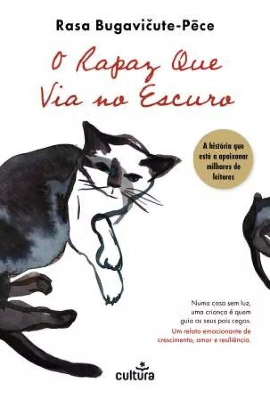 O Rapaz Que Via no Escuro 1