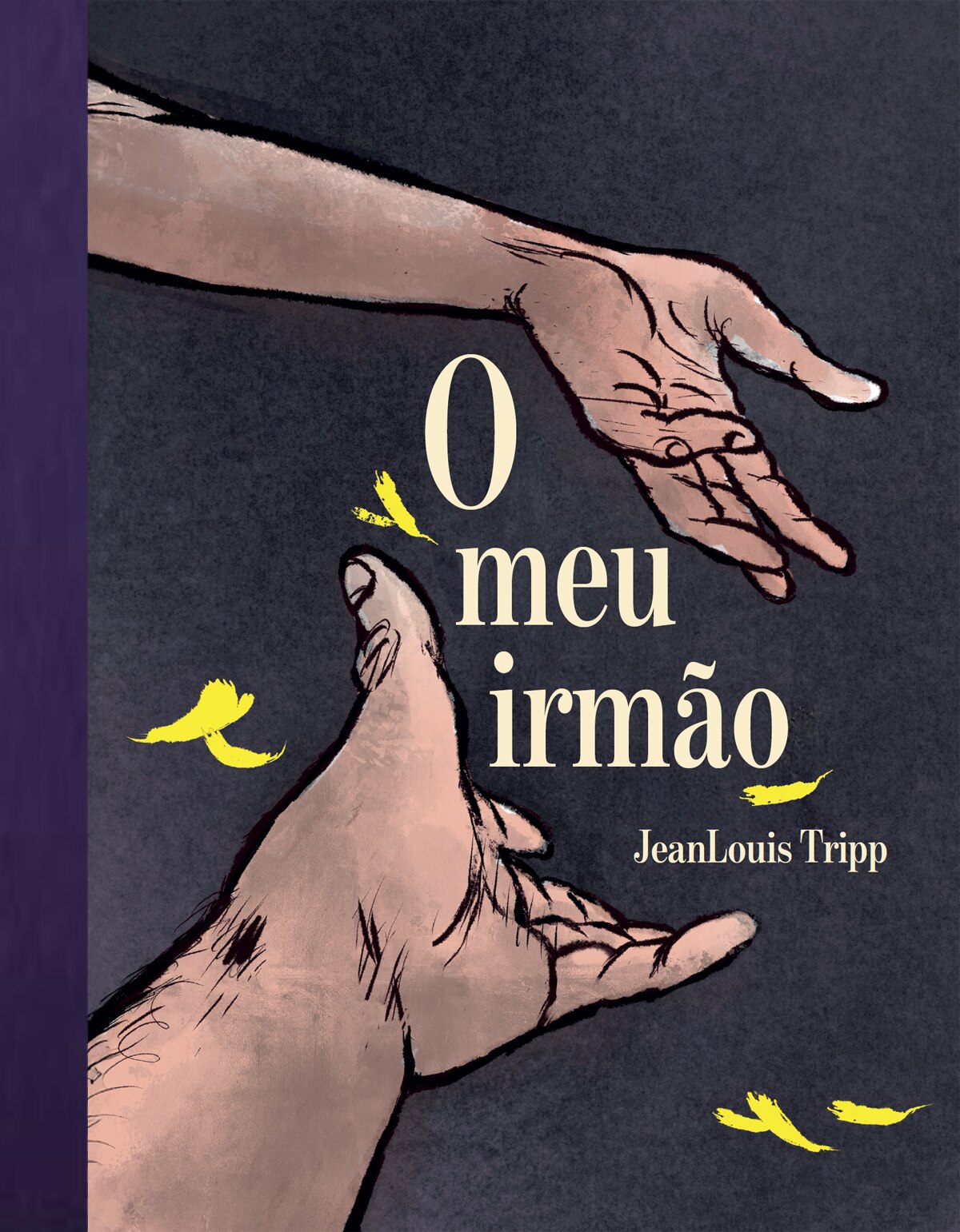 O Meu Irmão 1