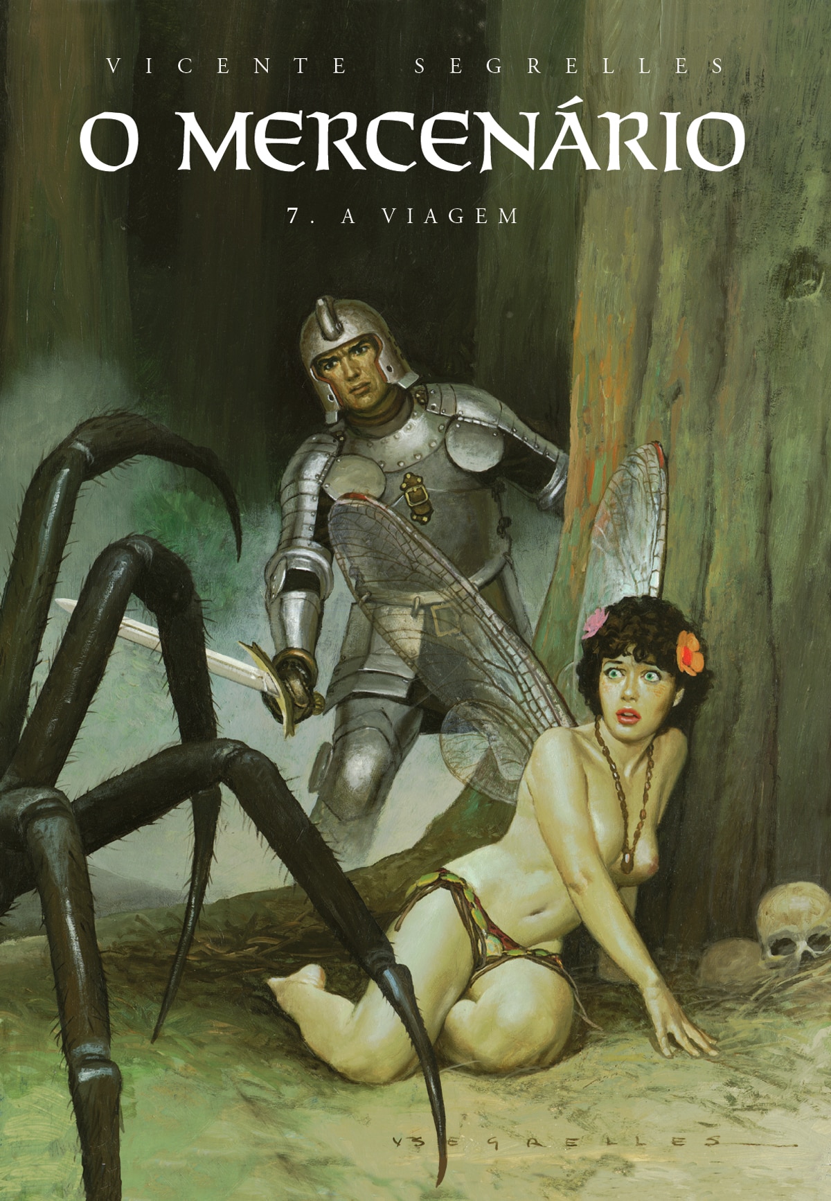 O mercenario 7 a viagem 1