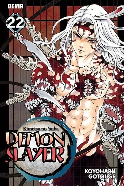 Imagem 0 de Demon Slayer - Livro 22