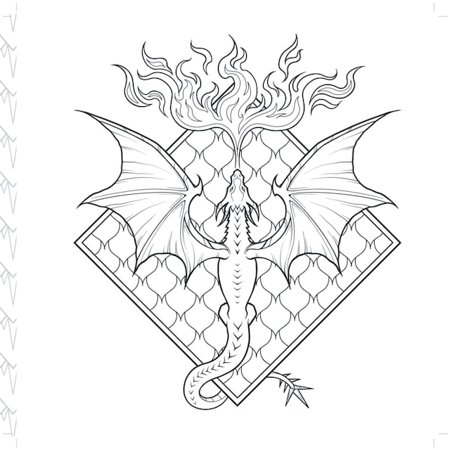 Imagem 0 de Quarta asa  livro oficial de colorir