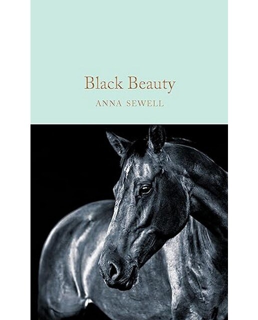 Black beauty 1