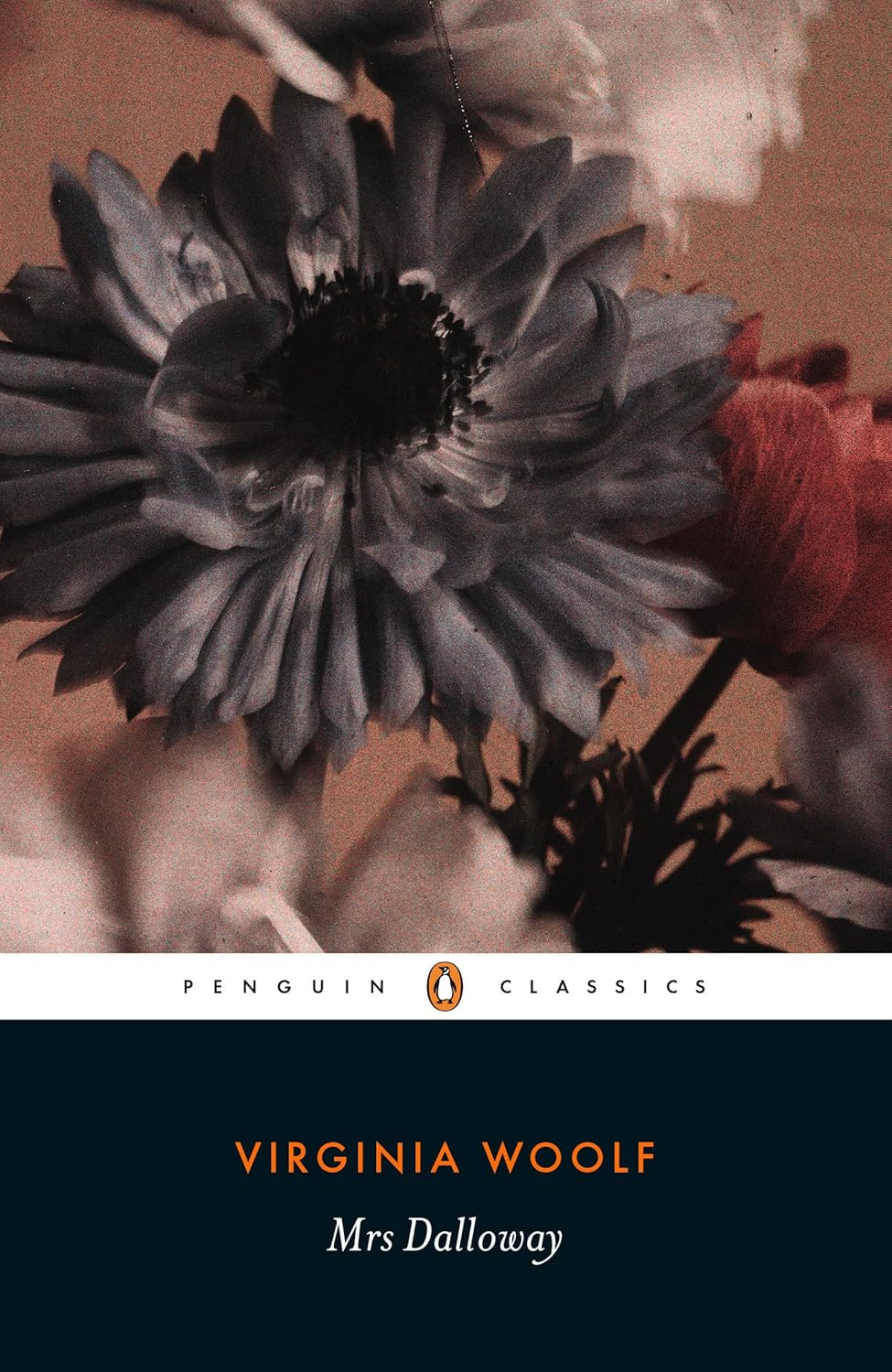 Imagem 0 de Mrs Dalloway