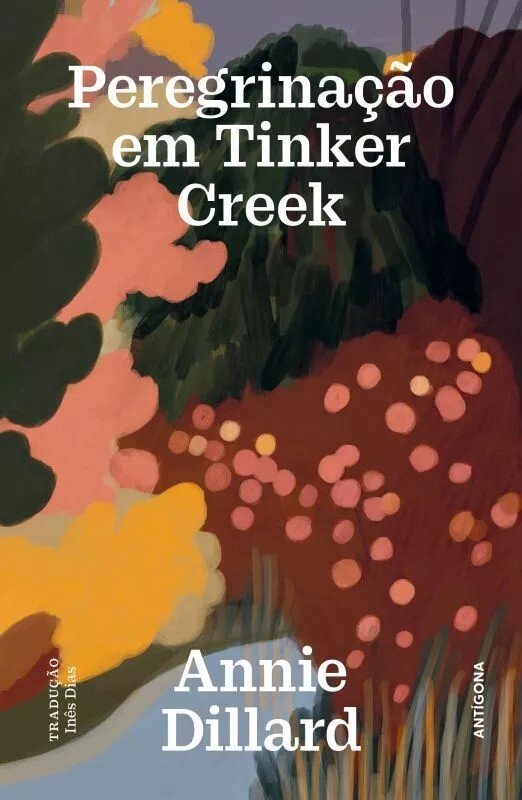 Imagem 0 de Peregrinação em Tinker Creek