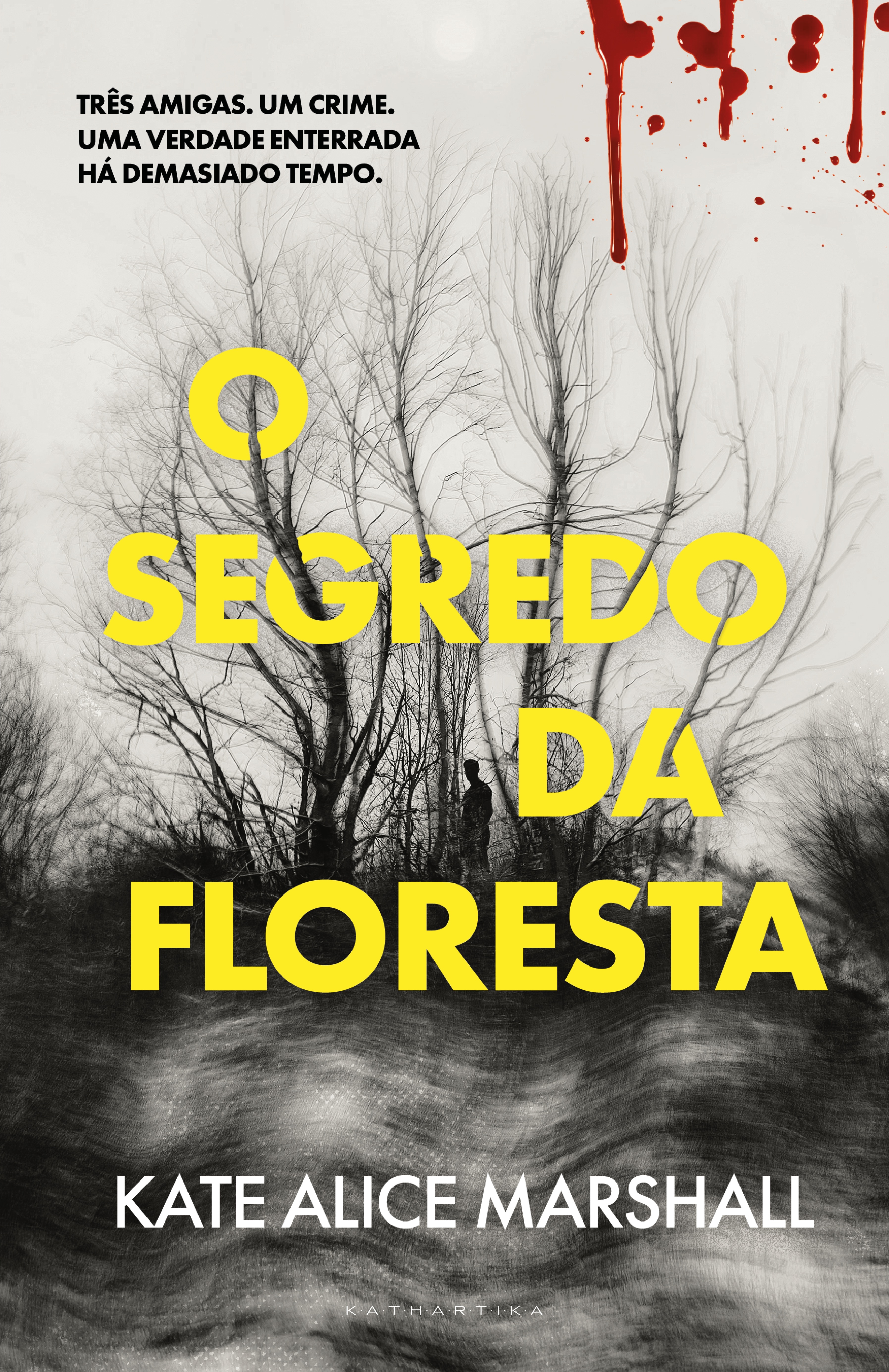 Imagem 0 de O Segredo da Floresta