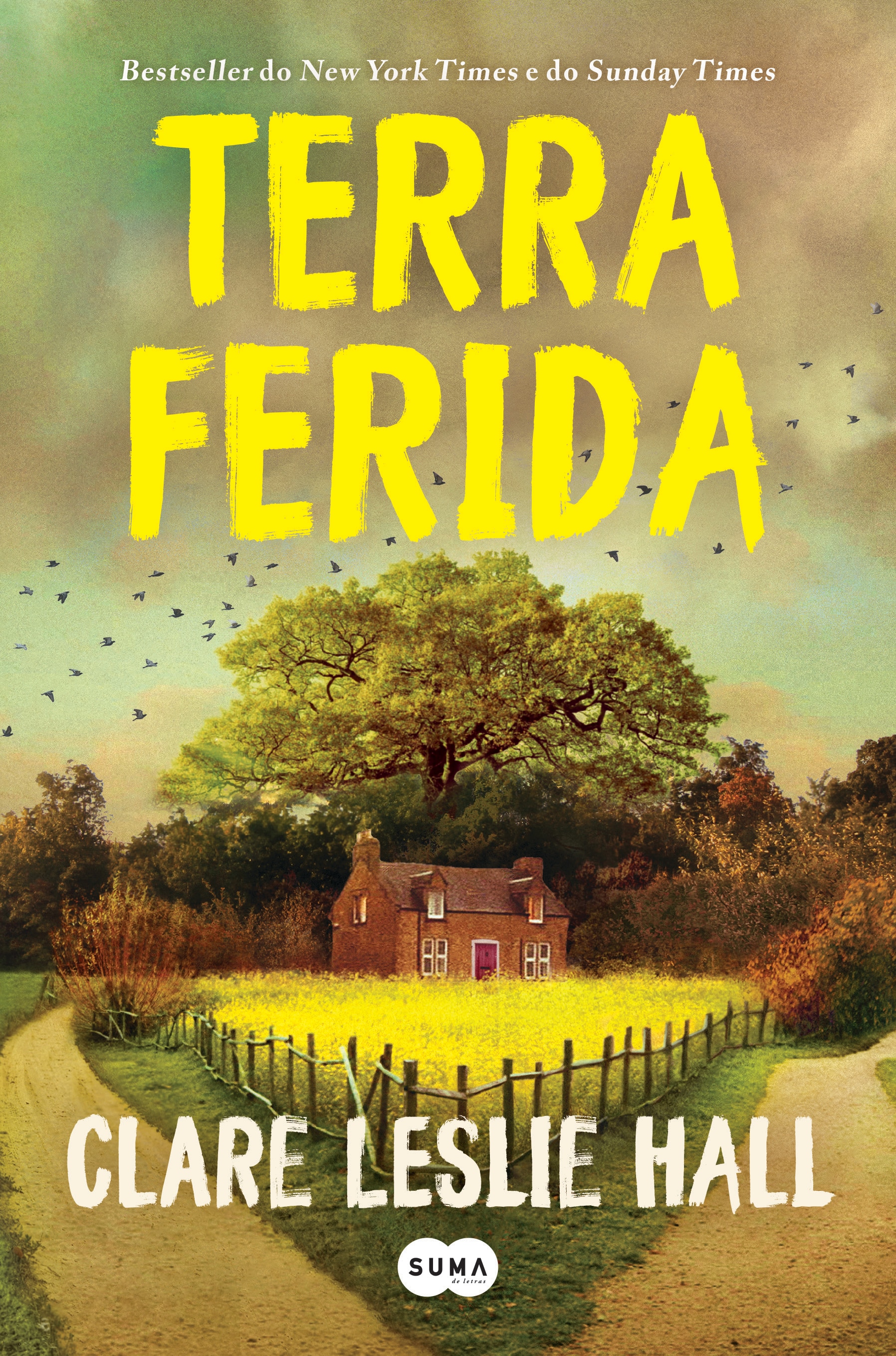 Imagem 0 de Terra Ferida