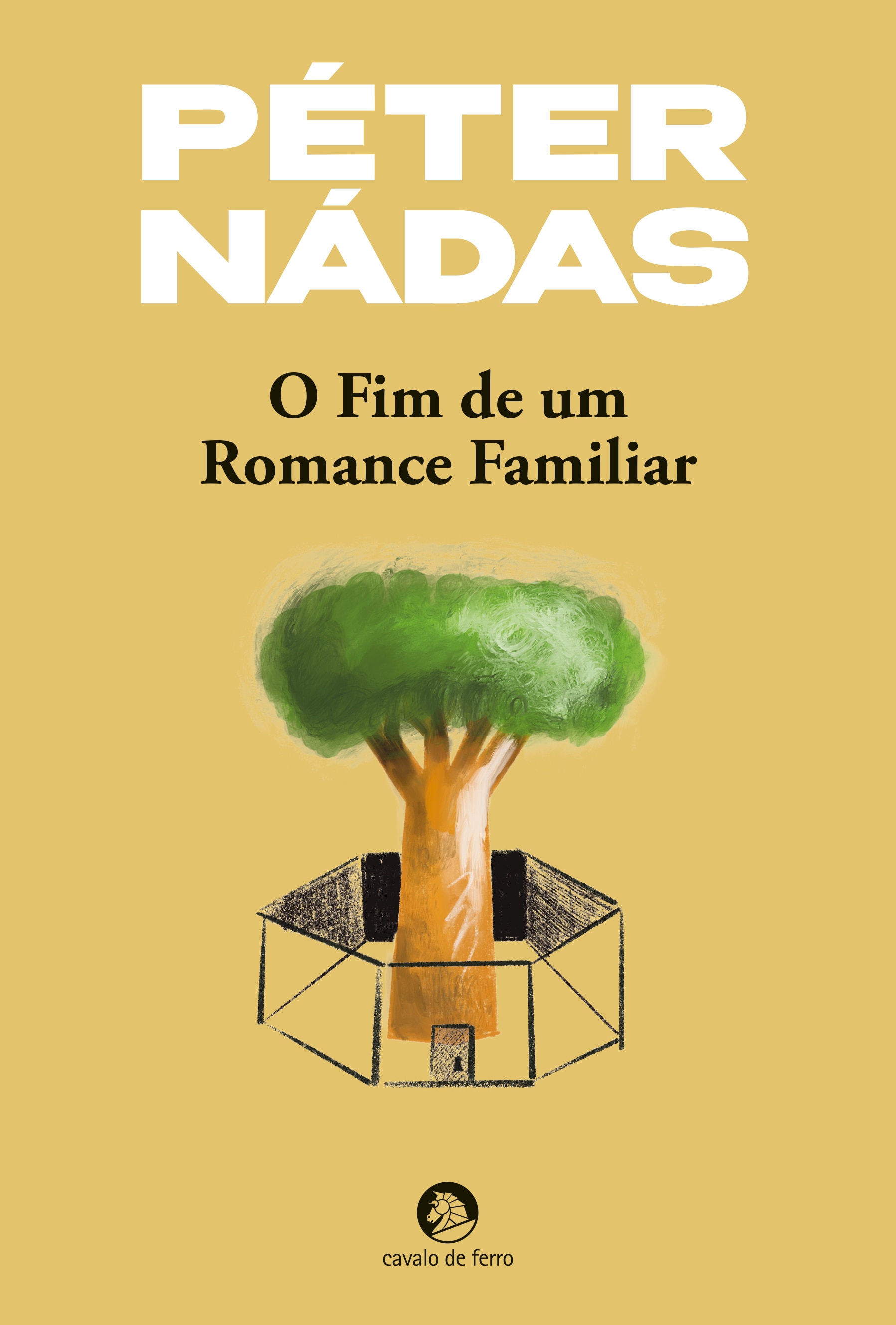 Imagem 0 de O Fim de um Romance Familiar