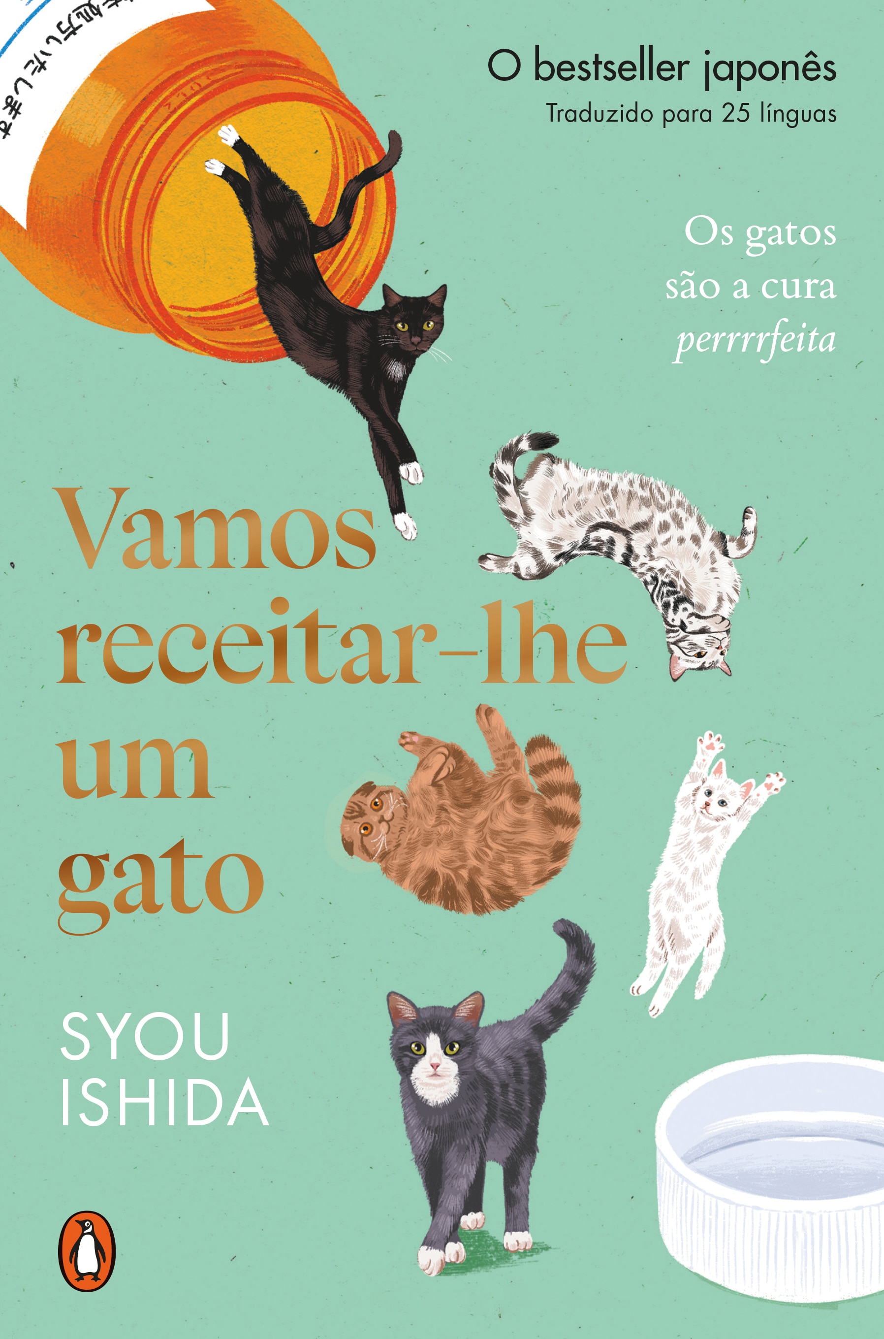 Imagem 0 de Vamos receitar-lhe um gato