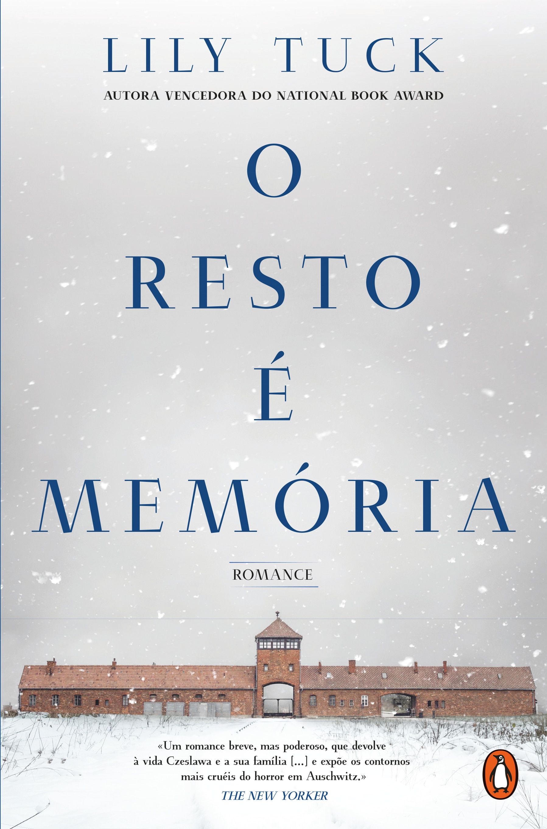 Imagem 0 de O resto e memoria