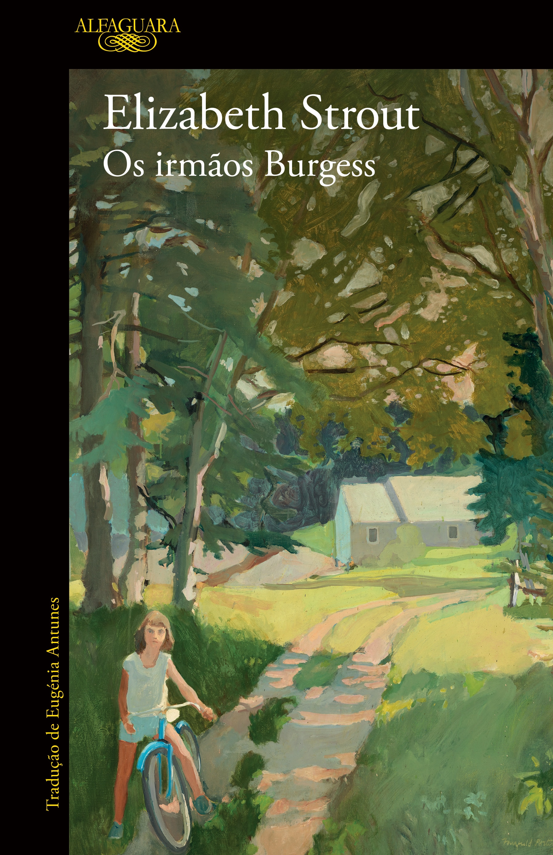 Imagem 0 de Os Irmãos Burgess