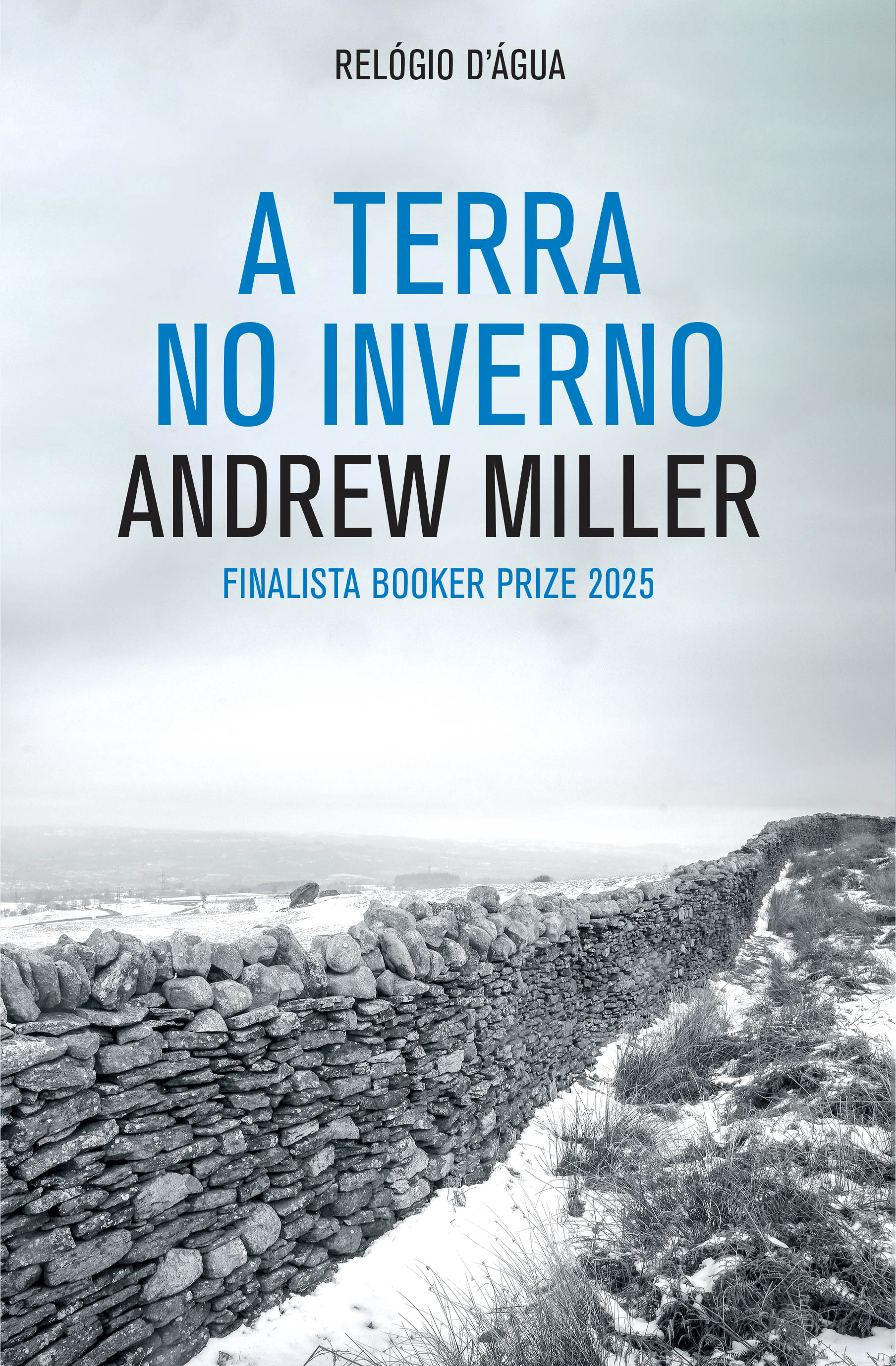 Imagem 0 de A Terra no Inverno