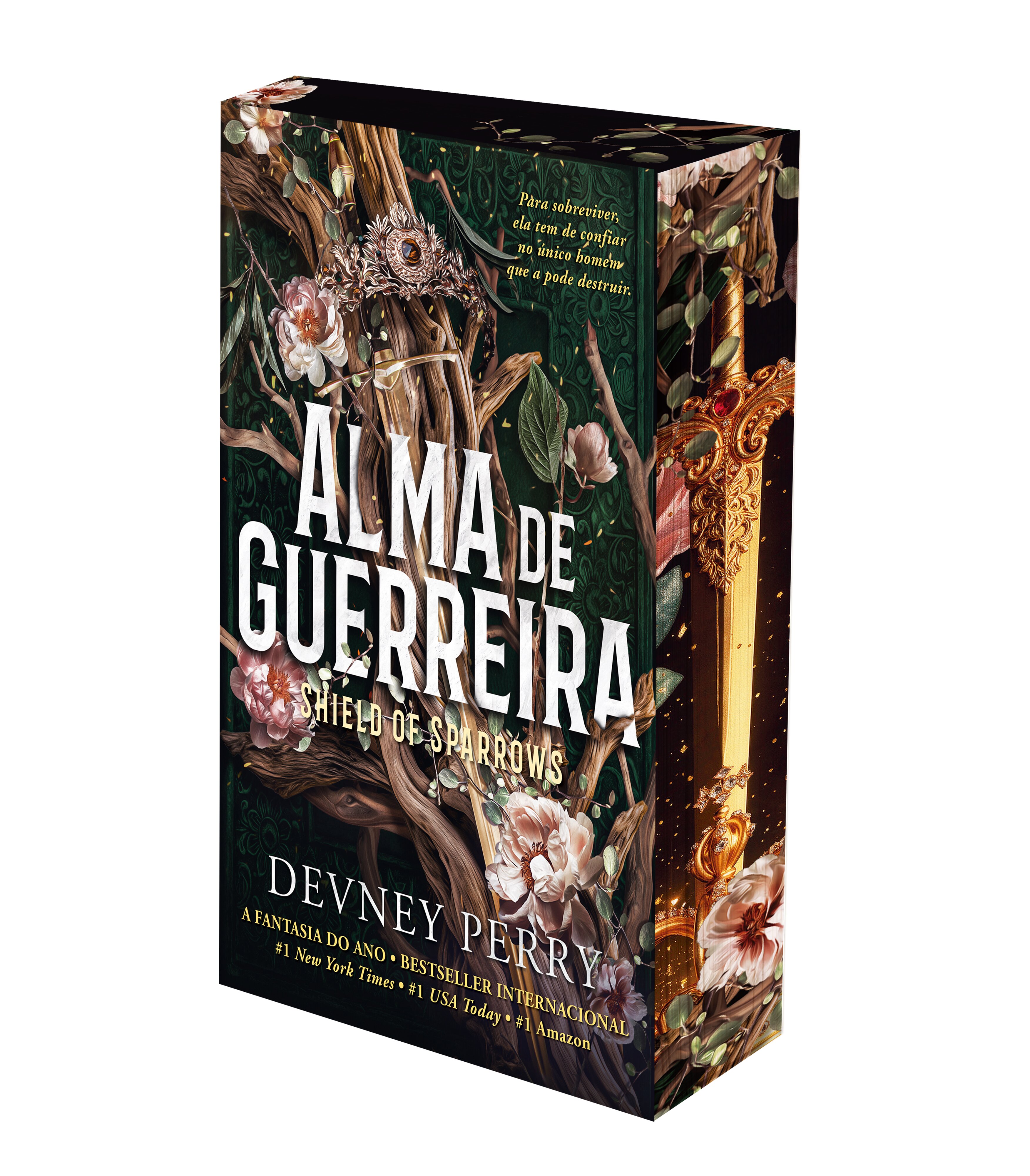 Alma De Guerreira 1