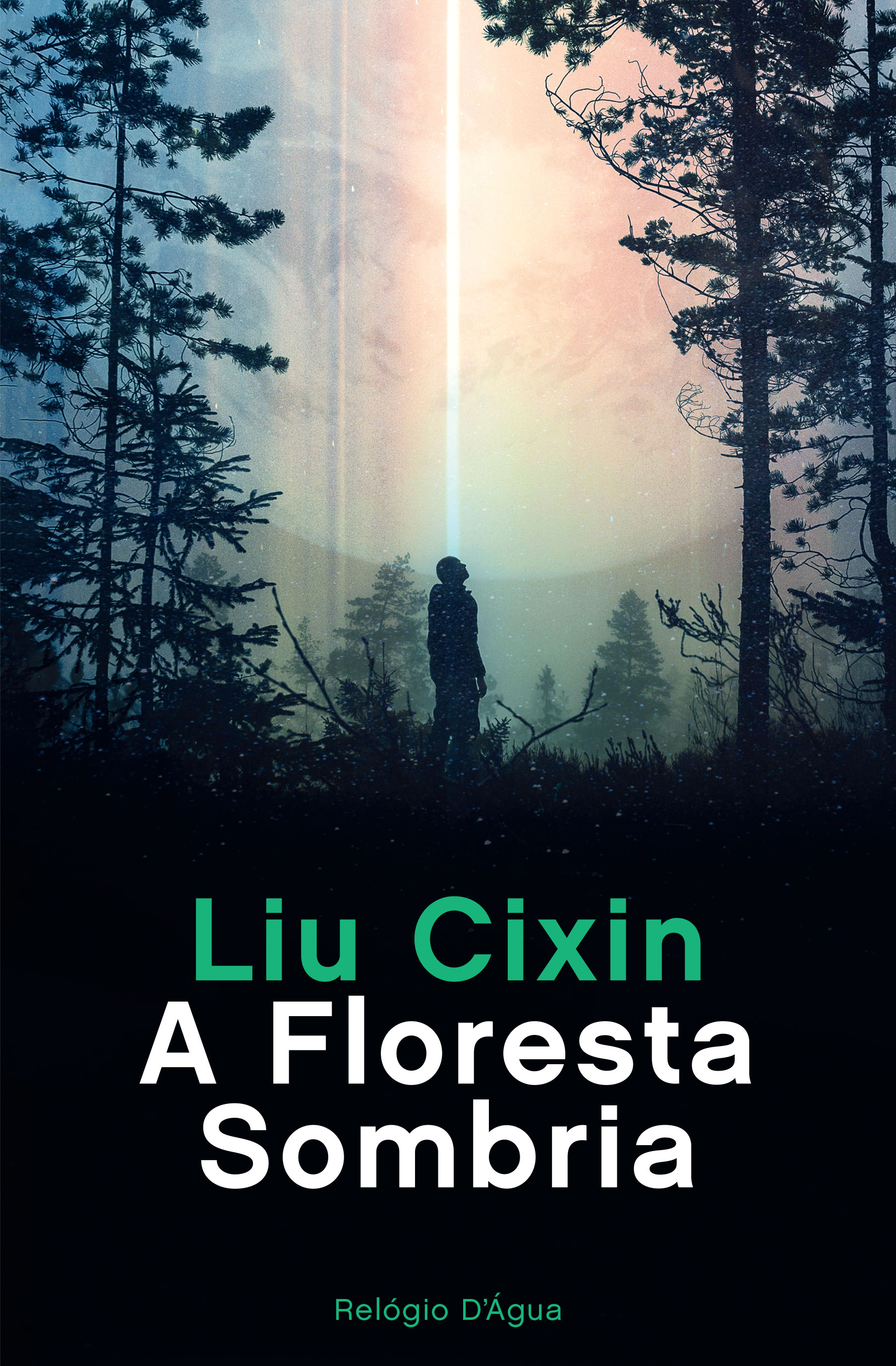 Imagem 0 de A Floresta Sombria