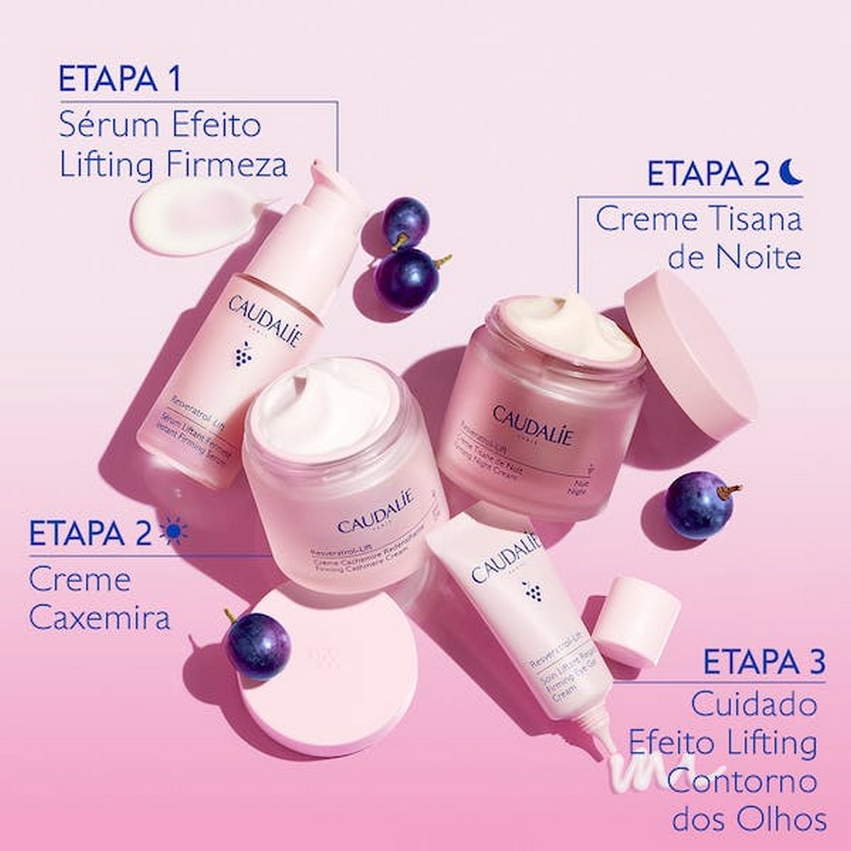 Creme Tisana de Noite Resveratrol-lift - 50 ml 6