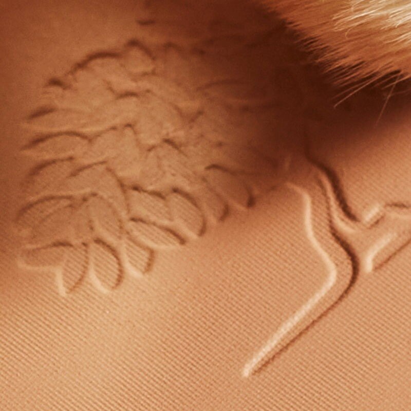 Pó Luminosidade Prodigieux® 4