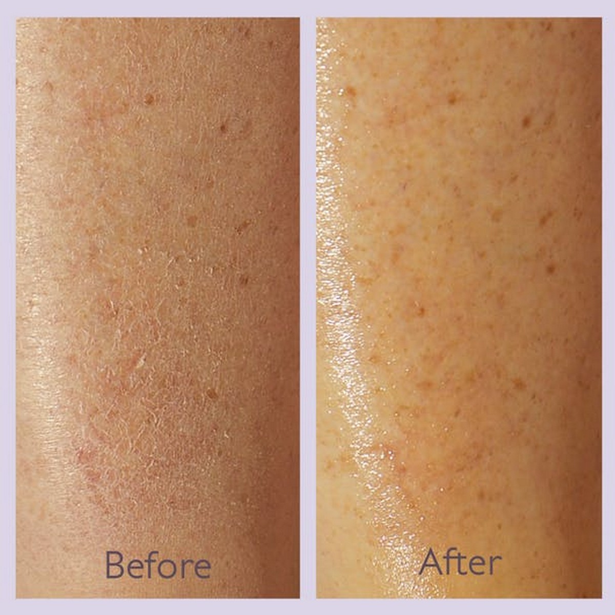Bálsamo Corporal Vegan Relipidante Vinotherapist™ 250ml Caudalie 3