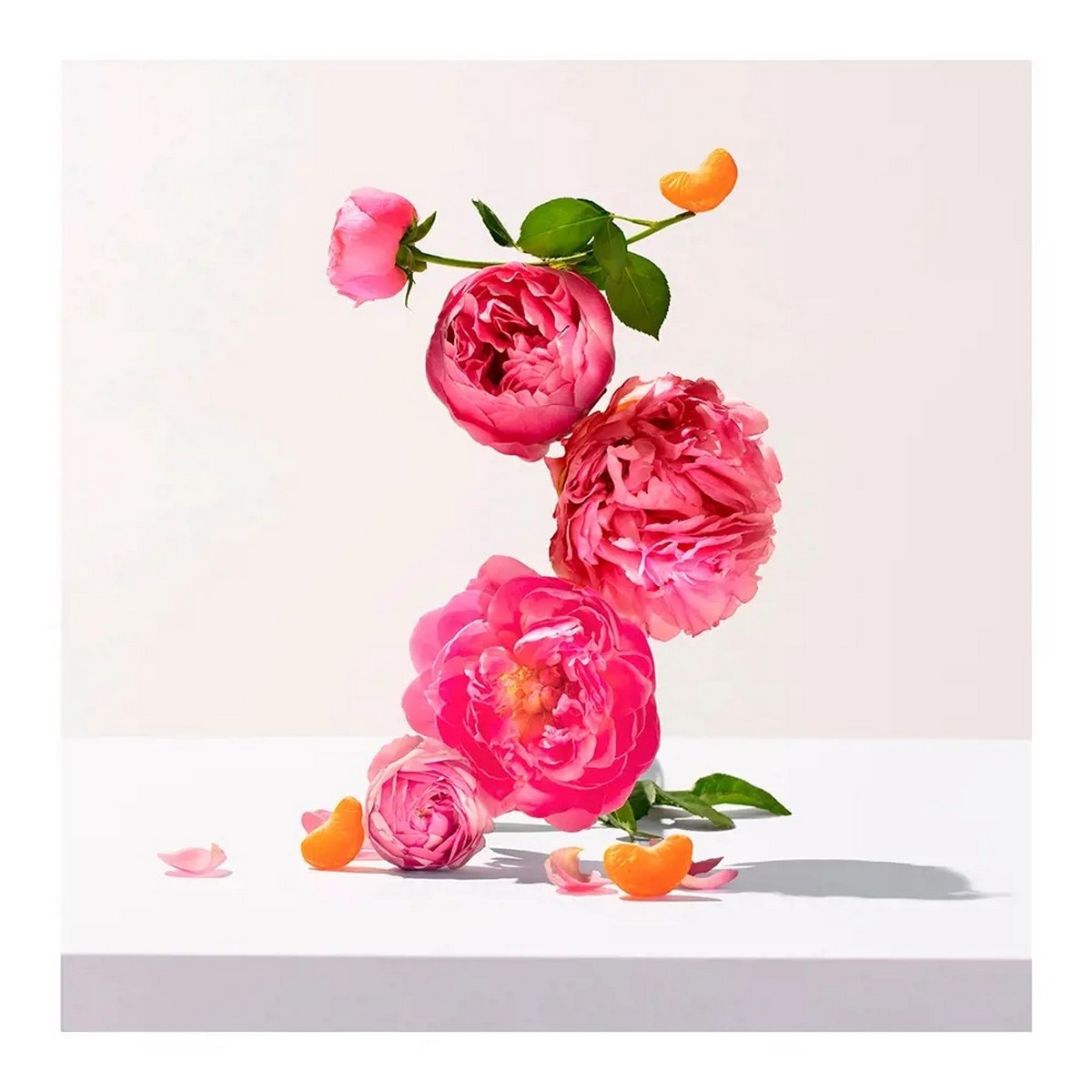 Leite de Corpo Rosa - 250 ml 2