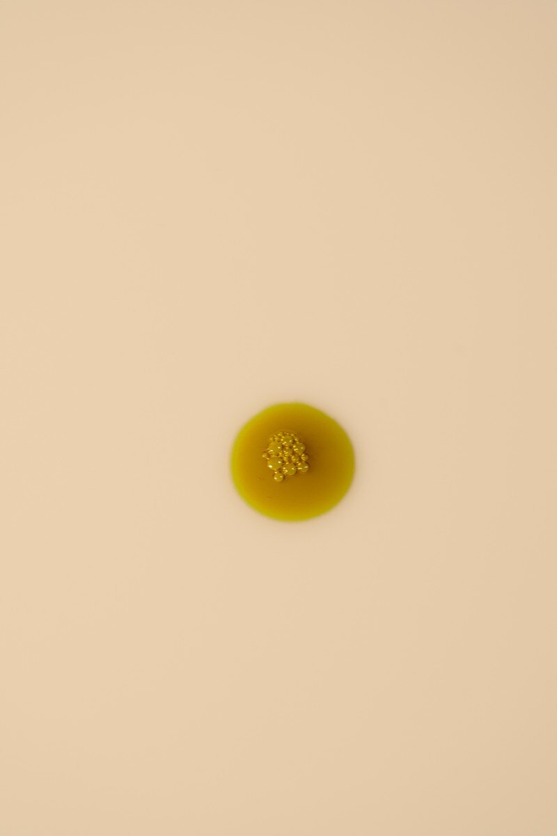Óleo de Canábis Forte 10% CBD - 10 ml 7