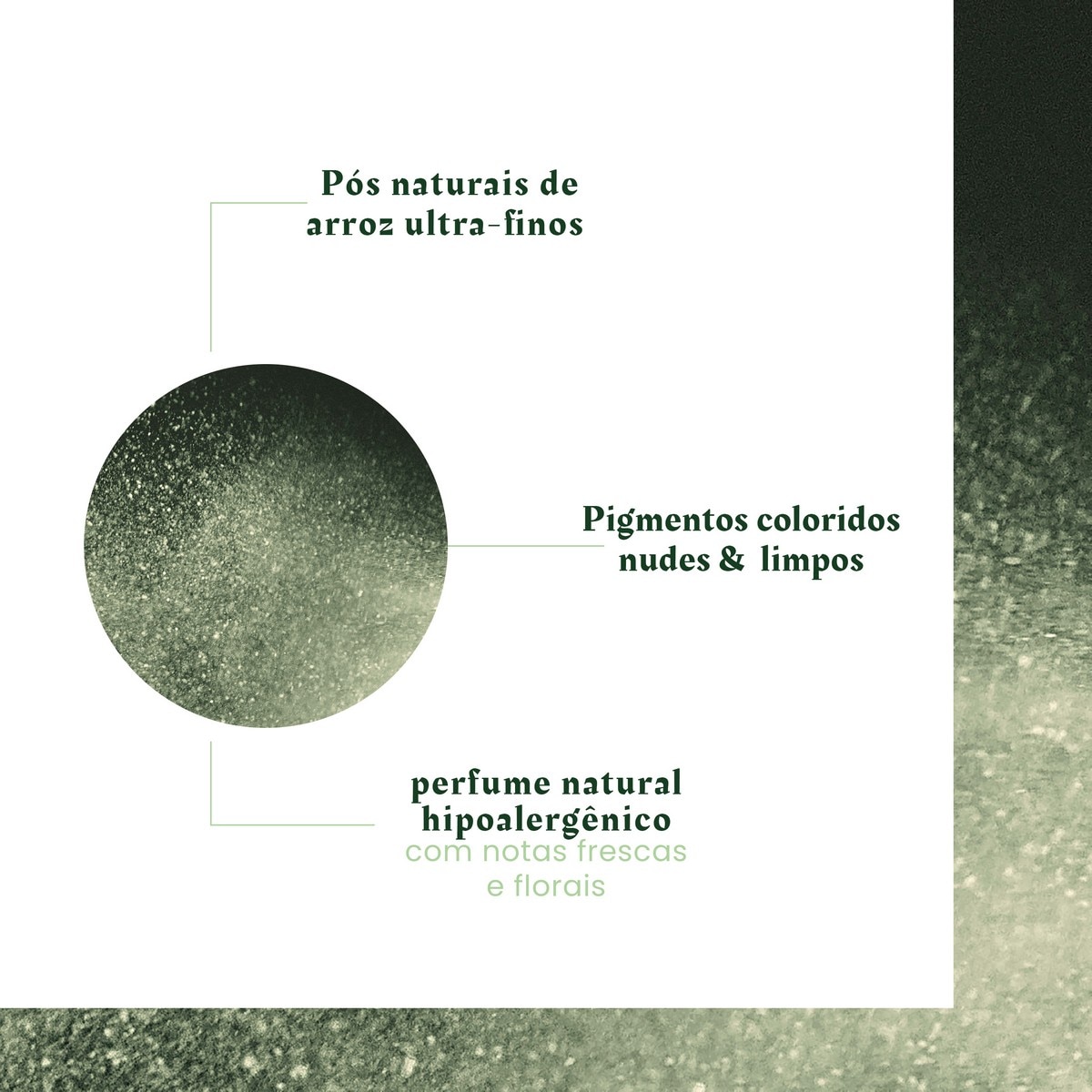 Champô Seco Naturia - 75 ml 6