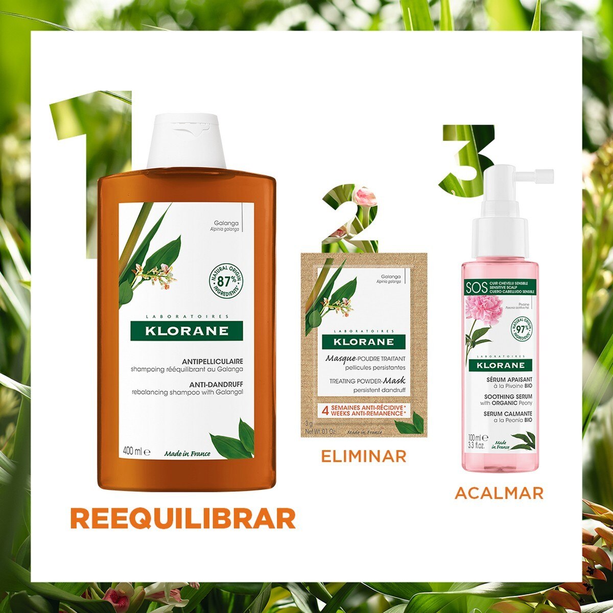 Champô Reequilibrante com Galanga - 200 ml 7
