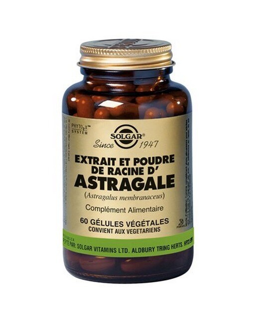 Suplemento Alimentar Astragalus Root Extract 60 Cápsulas Solgar 1