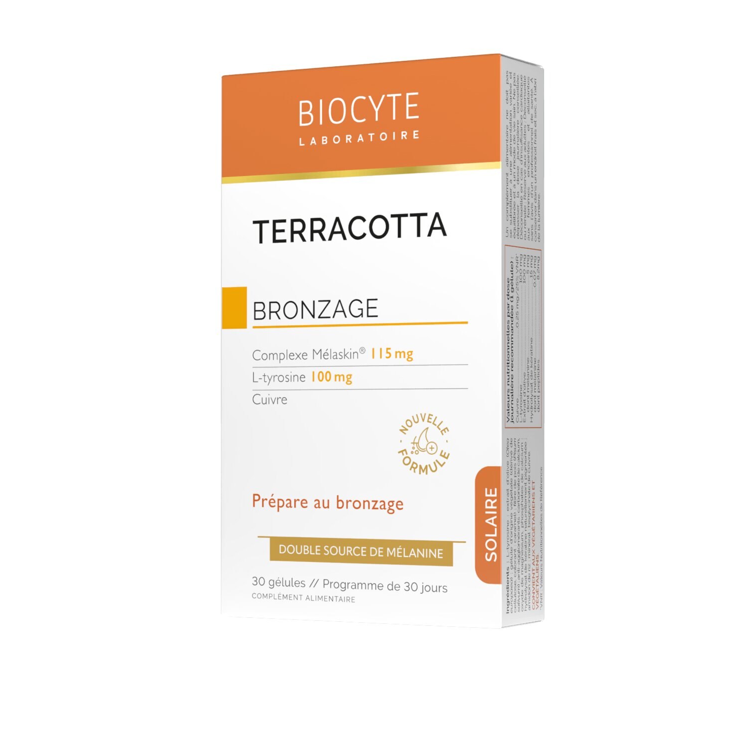 Terracotta Bronzage 1