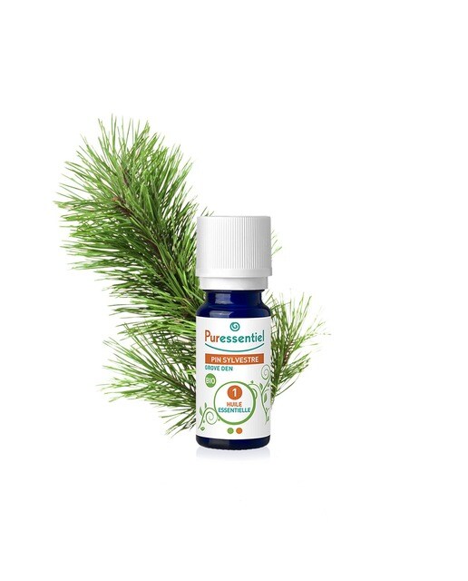 Imagem 0 de Óleo Essencial de Pinheiro Silvestre Bio - 5 ml
