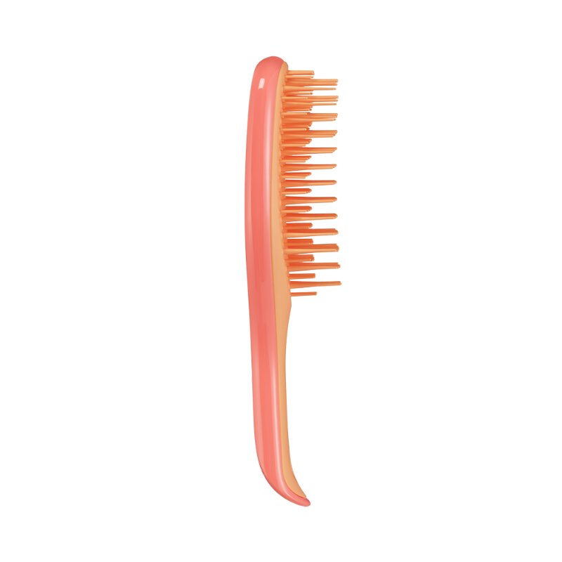Mini-Escova Desembaraçante Rosa-Laranja 2
